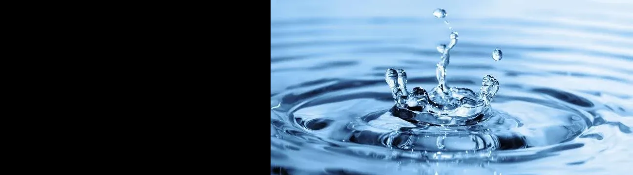 Masterclass 💦 Vivante 